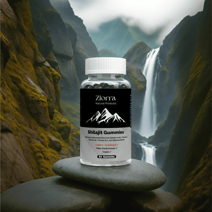 Shilajit Gummies + Vitamin C, B6, B12 - 60 pcs
